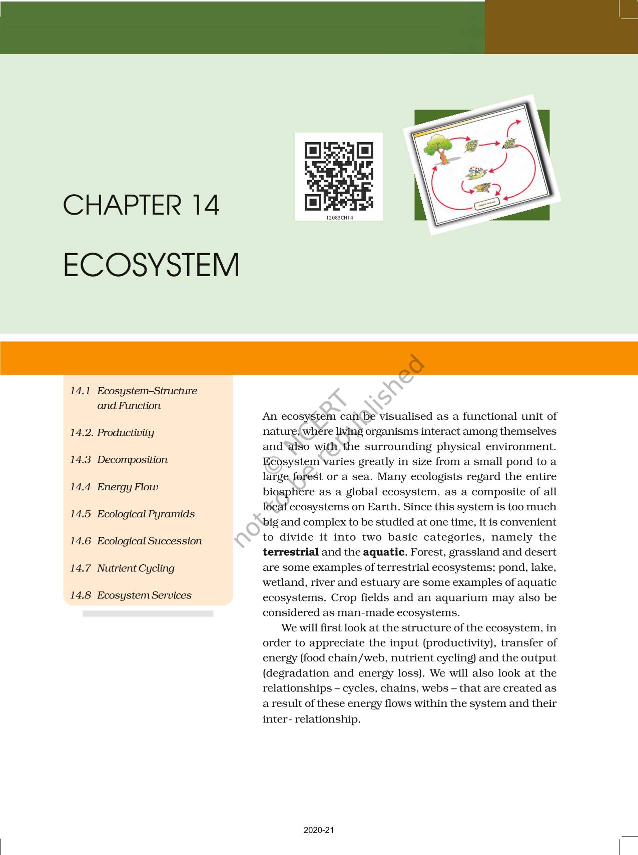 Ecosystem - NCERT Book Of Class 12 Biology